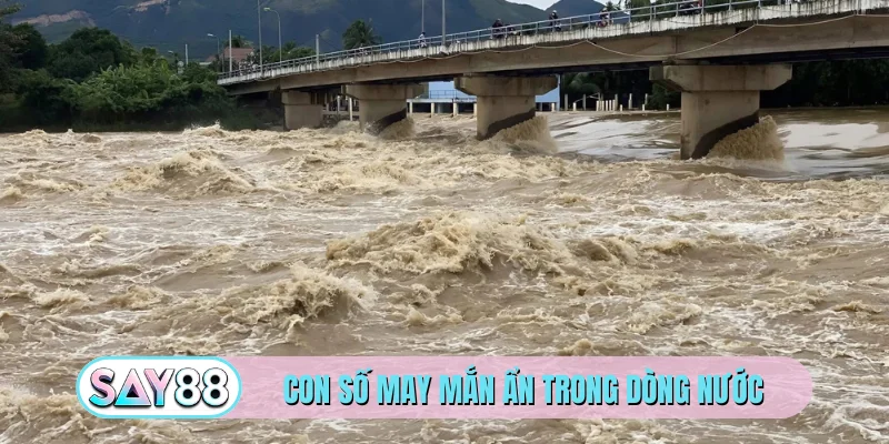 Con số may mắn ẩn trong dòng nước