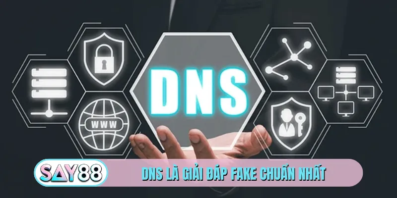 DNS là giải đáp fake chuẩn nhất