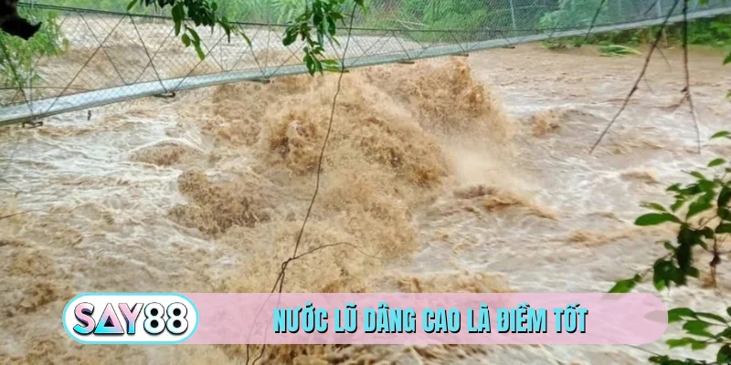 Nước lũ dâng cao là điềm tốt